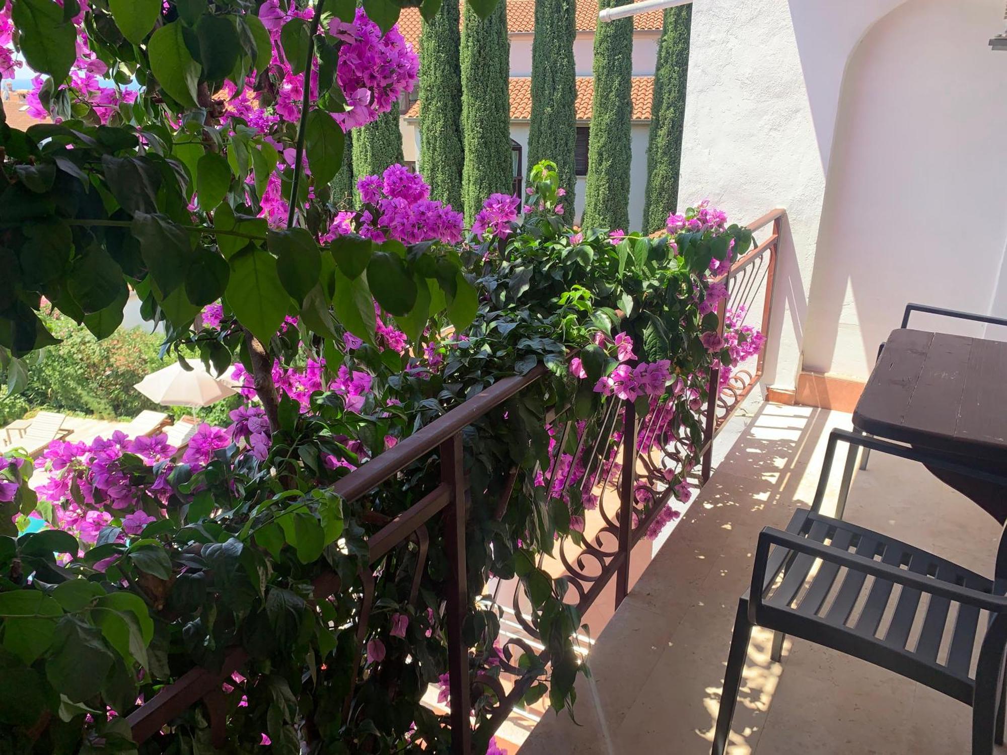 Gargamelo Pension Porec Ngoại thất bức ảnh